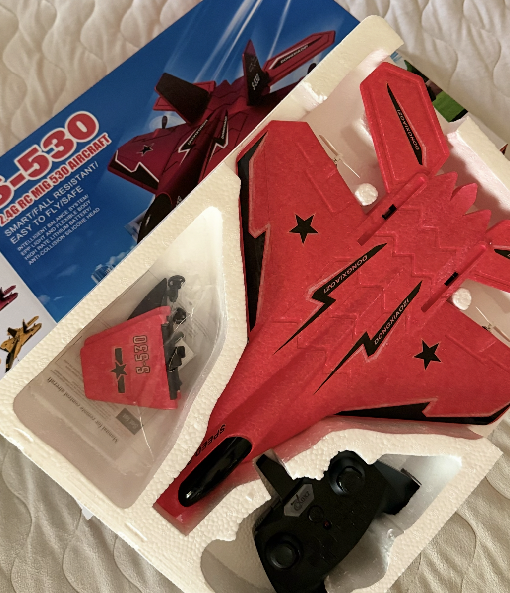 Foto compartida por Esteban R. con el avión RC