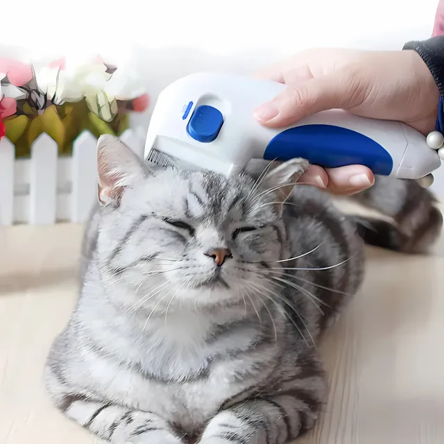 Gato tranquilo mientras lo cepillan con el peine eléctrico mata pulgas