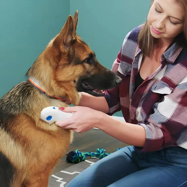 Perro siendo cepillado en casa con el peine eléctrico antipulgas