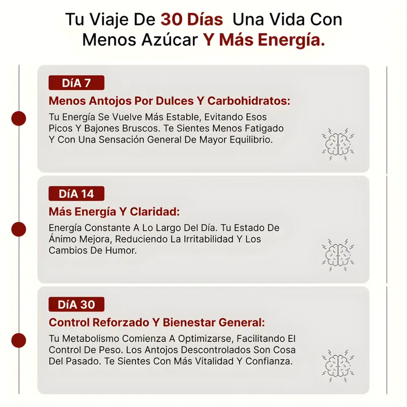 Tu viaje de 30 días: día 7 menos antojos, día 14 más energía, día 30 control reforzado